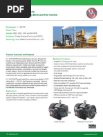 Hostile Duty Motors: Cast Iron Frame, Totally Enclosed Fan Cooled