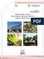 PRS_turism_pentru_RDS.pdf