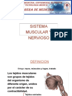 Sistema Muscular y Nervioso PDF