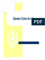 ciclo.pdf