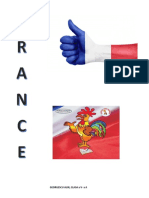 Proiect Franța