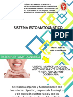 Sistema Estomatogmatico