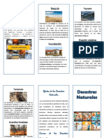 Folleto desastres-naturales.pdf