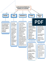 Mapa Conceptual Nutrientes