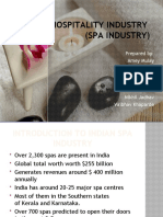 Pleasure Hospitality Industry (Spa Industry)