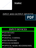 Input and Output Devices