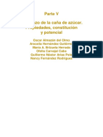 BAGAZO.pdf