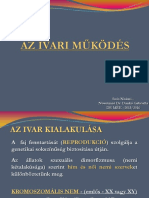 Az Ivari Működés PDF