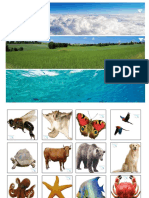 Sortare_animale_mediu_de_viata1.pdf