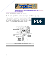 1.Anatomia_y_fisiologia.doc.pdf