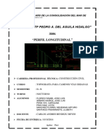 327338849-MONOGRAFIA-PERFIL-LONGITUDINAL-docx.docx