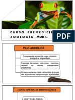 Curso Premedicina Zoologia - Mod14