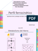 Perfil Ferrocinético