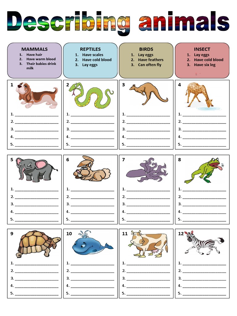 Soal Bahasa Inggris Kelas 6 Sd Animals - Wulan Tugas