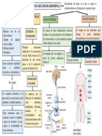 Dolor abdominal: receptores, tipos y mecanismos fisiológicos