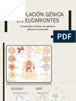 Regulación Génica en Eucariontes