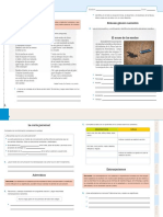 Acompañamiento 5 PDF