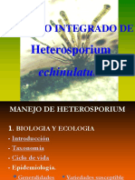 Manejo Integrado Heterosporium