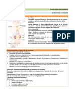 FISIOLOGIA_ENDOCRINA.pdf