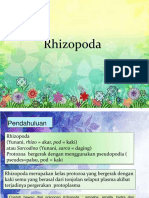 4 Rhizopoda