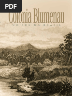 Blumenau Tomo 1 