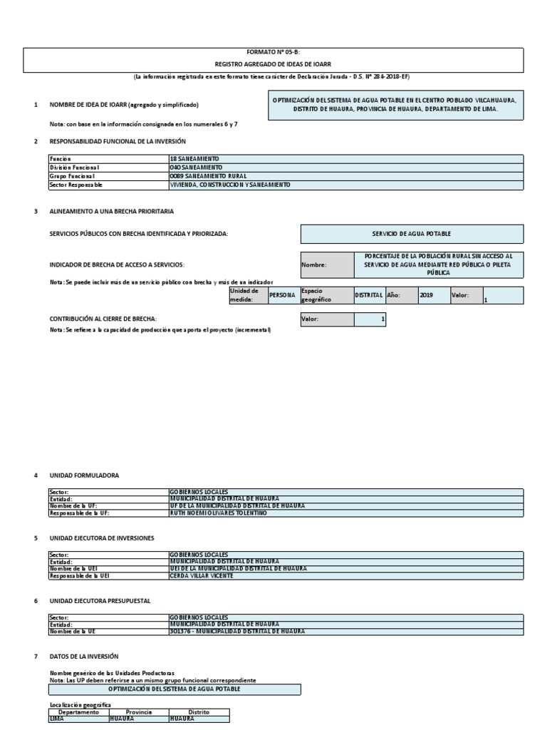Formato 05B | PDF | Economias | Finanzas (general)