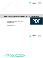 Mercado Relevante_INZ.pdf