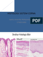 Tutorial C2 - Histologi - Saskia 17-002