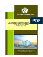 Data Luka Tusuk Jarum 2010 - 2013