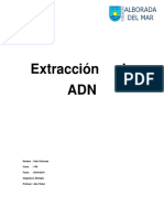 Extracción de ADN