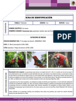 FICHA ESPECIES PRIORITARIAS - GUACAMAYA ROJA.pdf