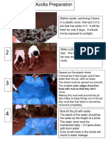 Azolla Preparation PDF