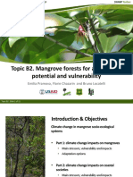 Topic B2. Mangrove Forests For Adaptation: Potential and Vulnerability