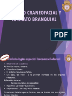 Aparato Craneofacial