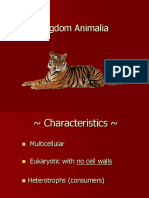 Animalia