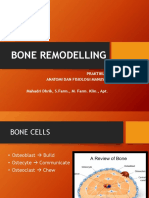 Praktikum Anfisman 1. BONE REMODELLING