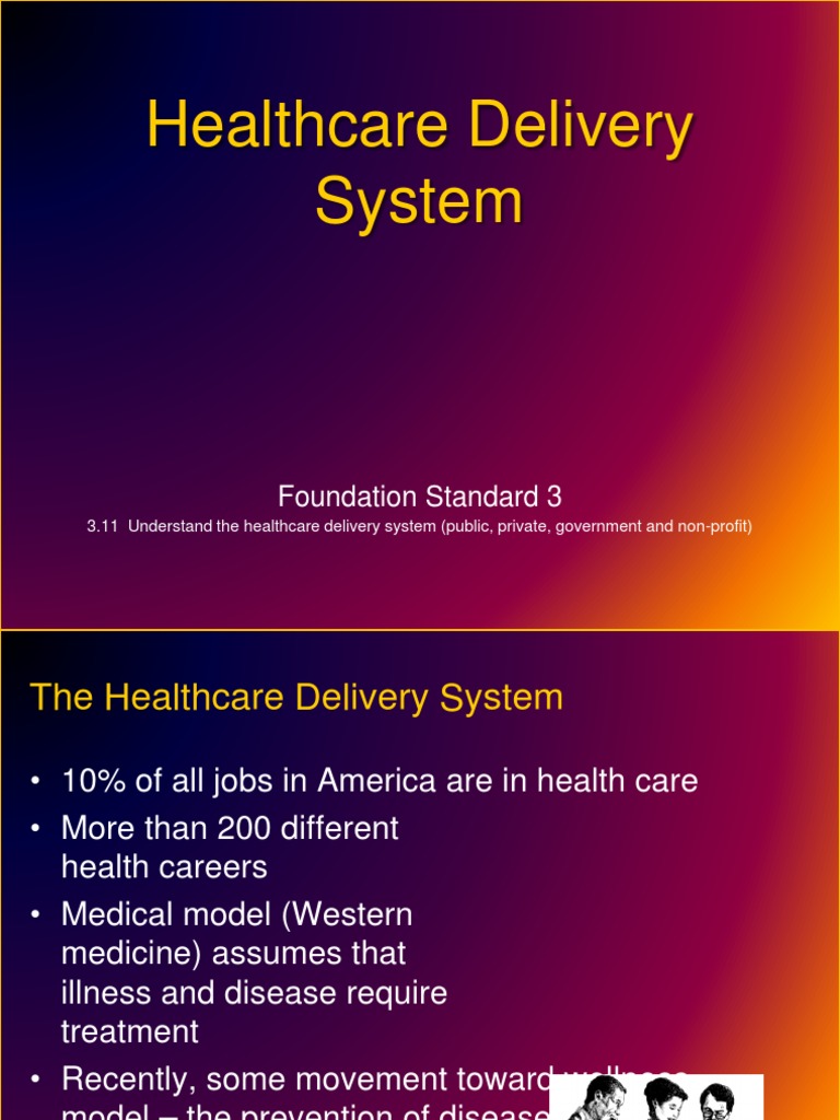 Health Care Delivery System PDF Nursing Home Care Health Care