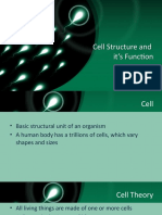 Cell and It's Function