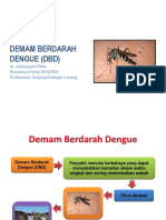 Demam Berdarah Dengue (DBD)