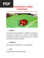 Curiosidades Sobre Joaninhas