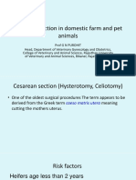 Vet Obst Lecture 10 Cesarean in Domestic Farm and Pet Animals