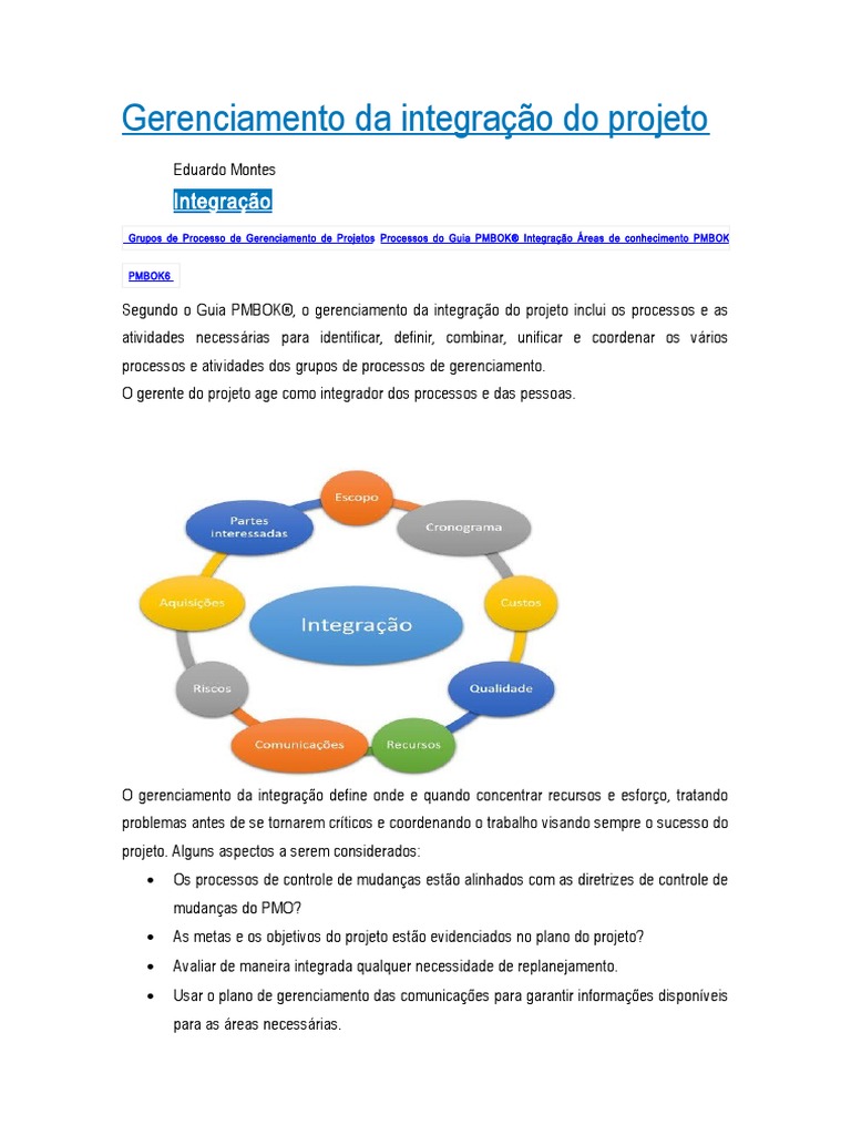 Gerenciamento da integração do projeto Gerenciamento de projetos Qualidade (Negócios)