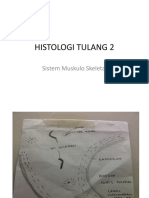 Histologi 2 - SMS