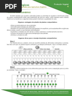 4-plantas-companheiras