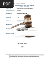 Sociedad Anonima Abierta