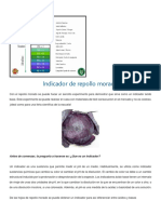 Indicador de repollo: pH y ácidos/bases