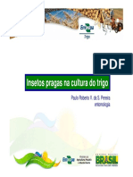 Insetos Pragas Na Cultura Do Trigo PDF