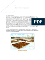 La economía y agricultura azteca: cultivos, alimentos y actividades principales