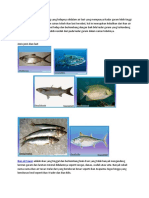 Pbm_ikan_dan_hasil_olahan_nya.docx