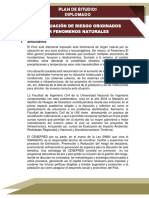 Diplomado Gestión del Riesgo (1).pdf